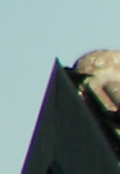 crop100_0027.jpg