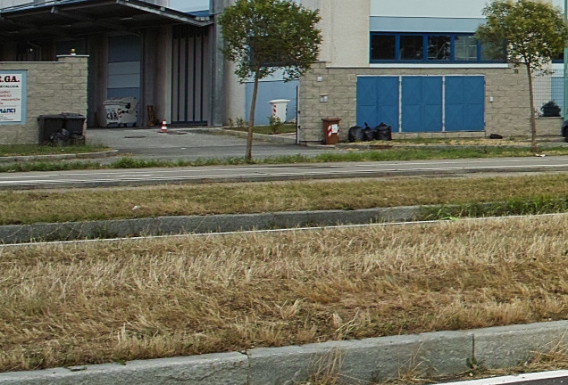 crop100 lato sx.jpg