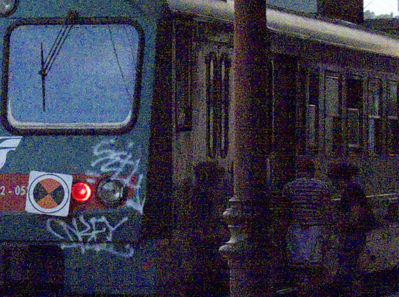 crop1250.jpg
