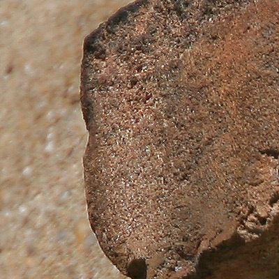 crop1.jpg