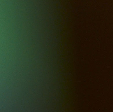 crop2.jpg