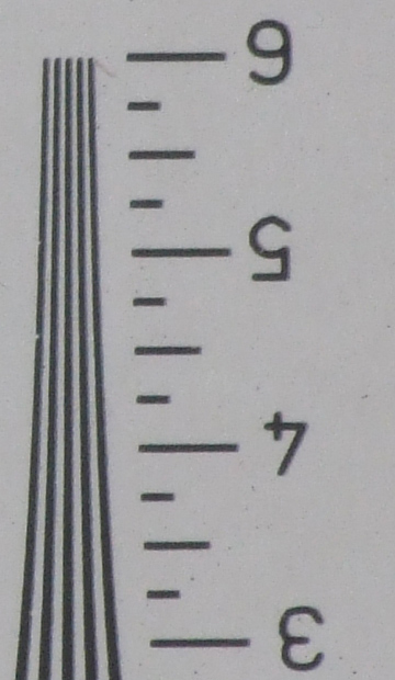 crop2.jpg