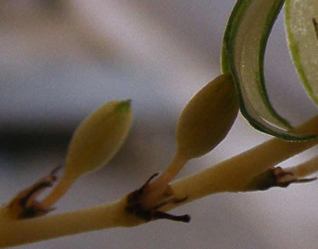 crop2.jpg