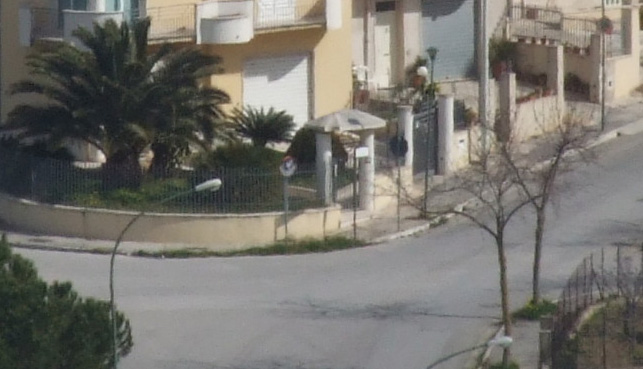 crop4-n2.jpg