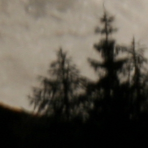 crop 100%.jpg