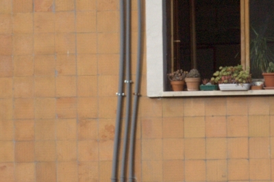 CROP 100 mm CANON 24-105 L F4.jpg
