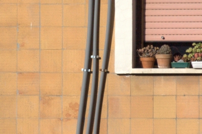 CROP 140 mm TOKINA 80-400.jpg