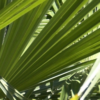 crop_18-50.jpg