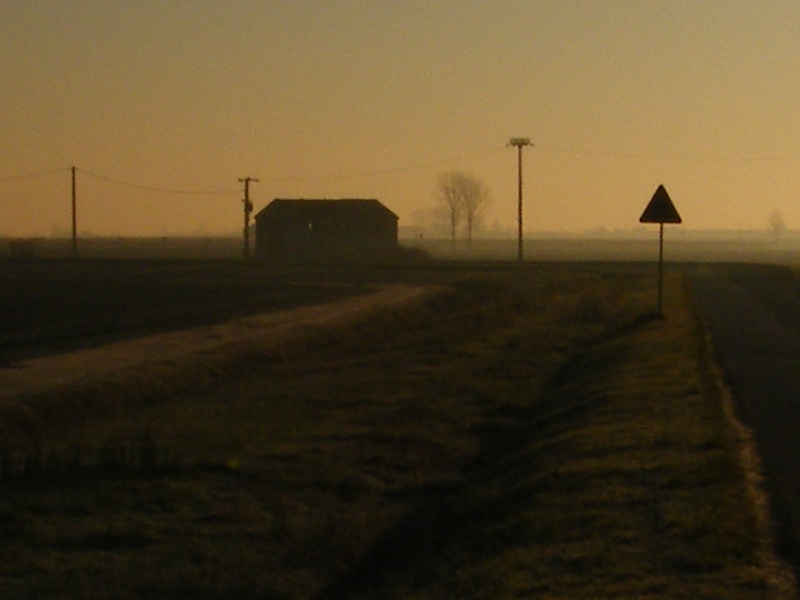 crop 1.JPG