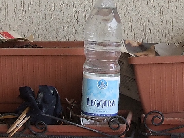crop 2 s9600.jpg