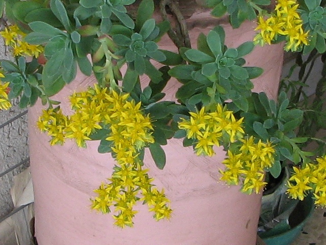crop 3 s3.jpg