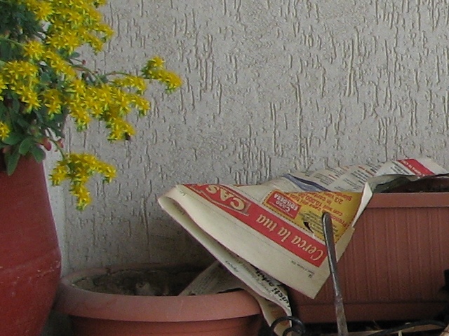 crop 4 s3.jpg