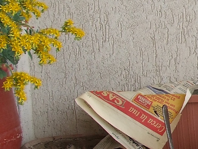 crop 4 s9600.jpg