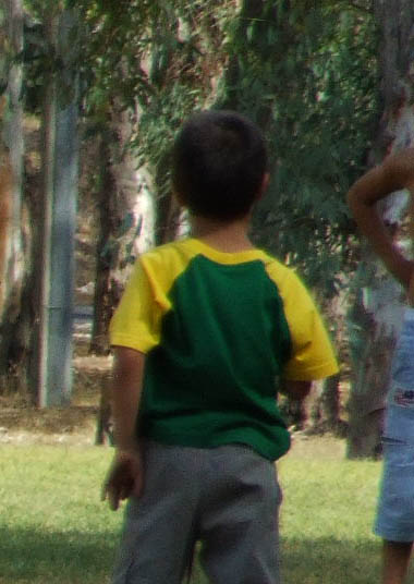 Crop_DSCF0039.jpg