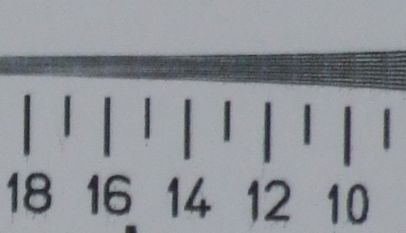 crop ris orizzontale.jpg