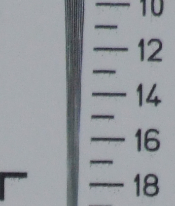 crop ris verticale.jpg