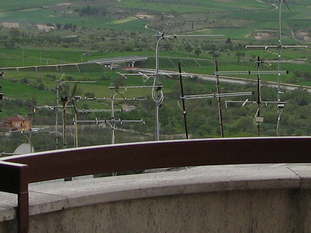 crop s3.jpg