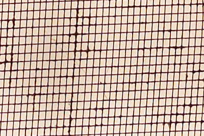 CRW_0002-1B.jpg