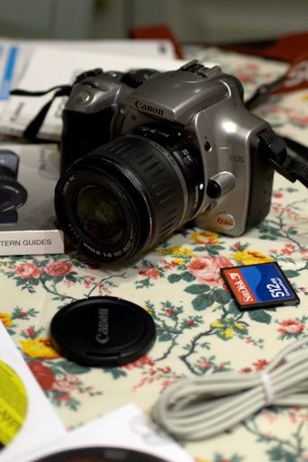 CRW_5456.jpg