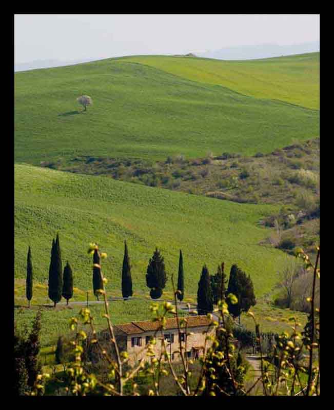 CRW_6786.jpg
