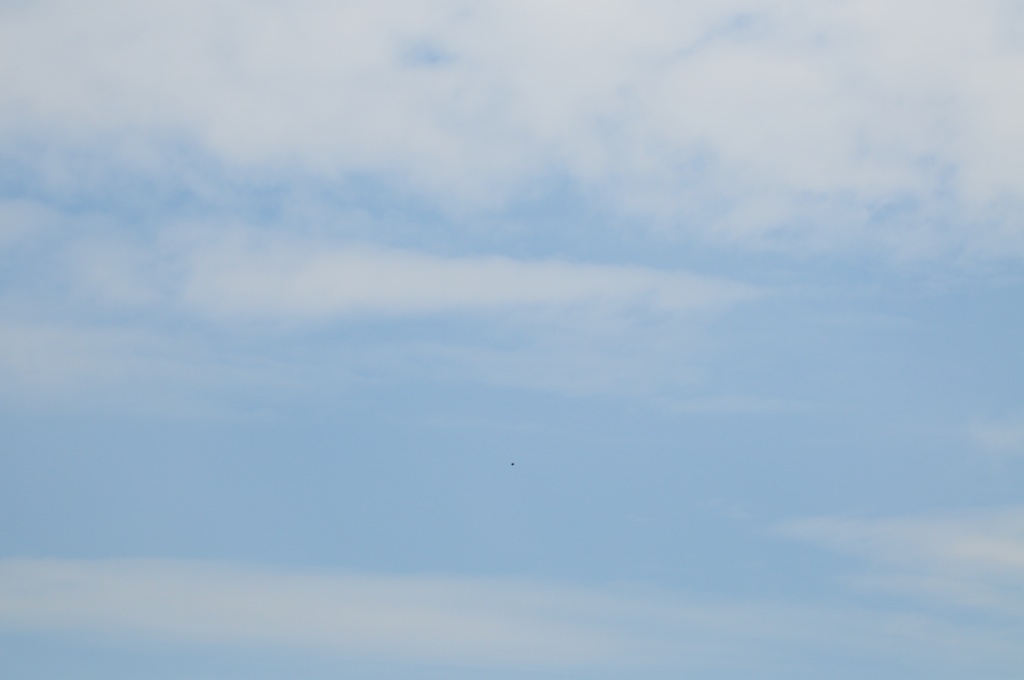 D300.jpg