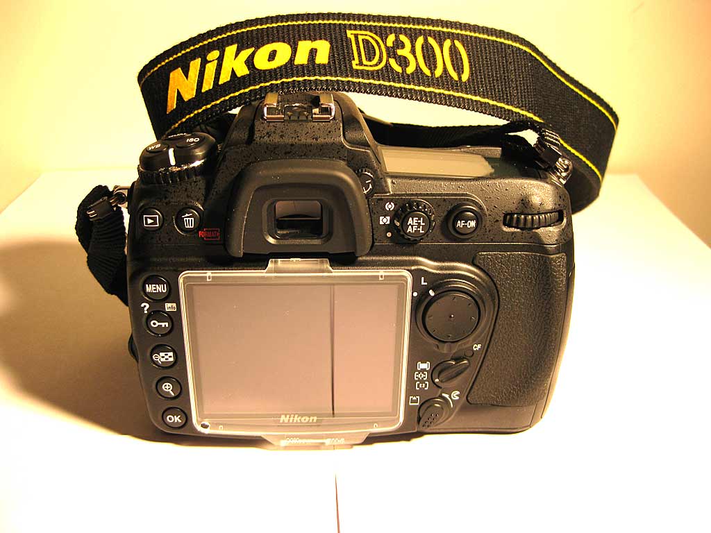 D300_3.jpg