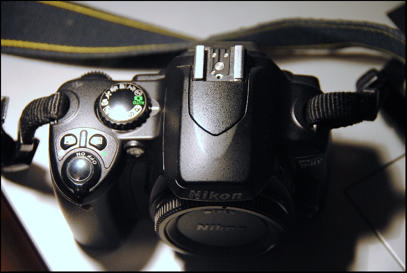 D40(1).jpg