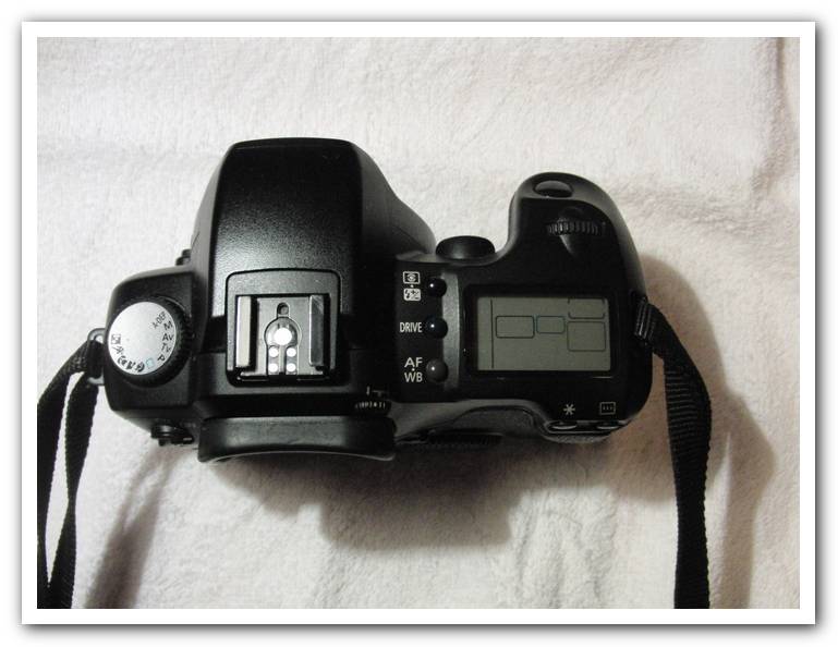 D60-1.jpg