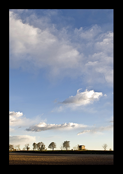 d80_24-70.jpg