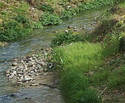 dett_6500_180.jpg
