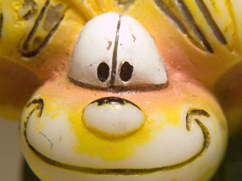 diddle3-crop.jpg