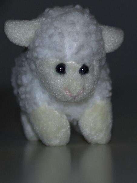 Dolly1.jpg