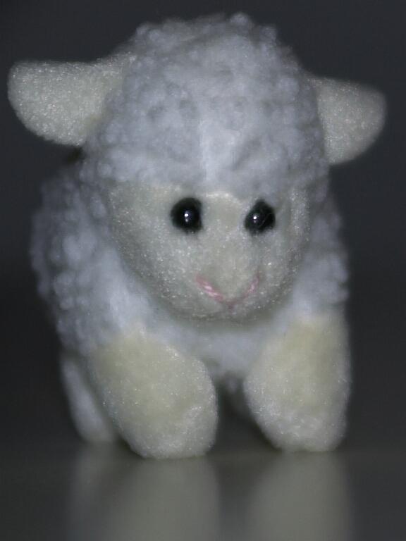 Dolly2.jpg