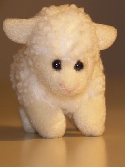 Dolly3.jpg