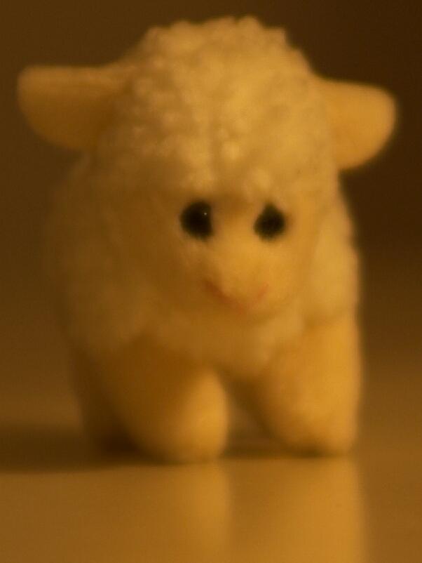 Dolly4.jpg