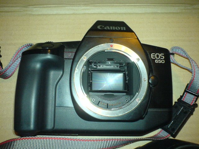 DSC00227.JPG