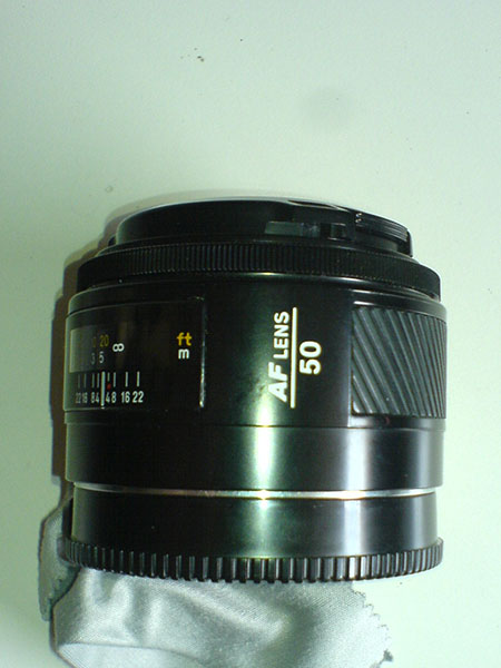 DSC01106.jpg