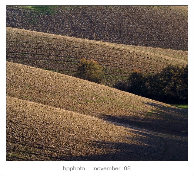 DSC05379sqweb.jpg