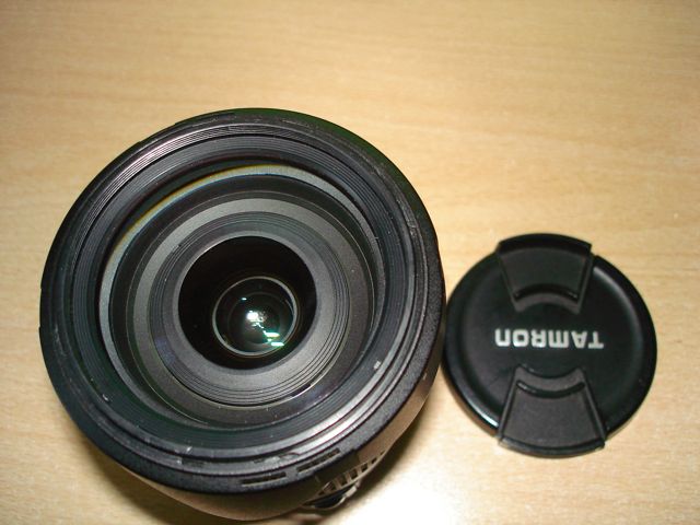 DSC05517.jpg