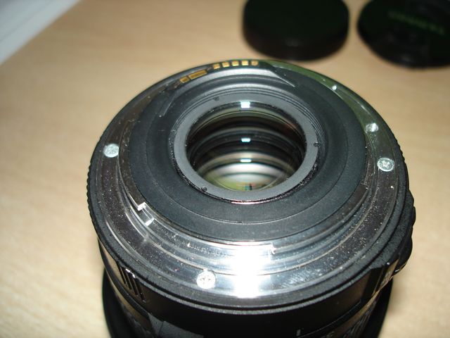 DSC05518.jpg