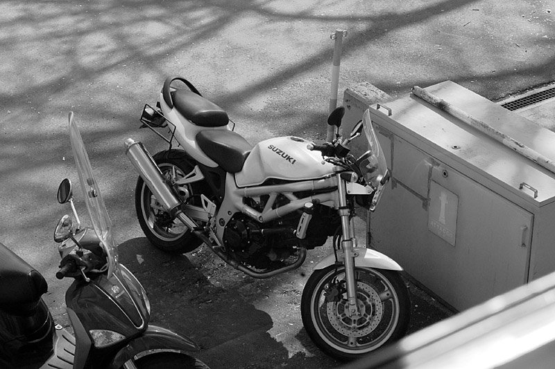 DSC_0001_bw800.jpg