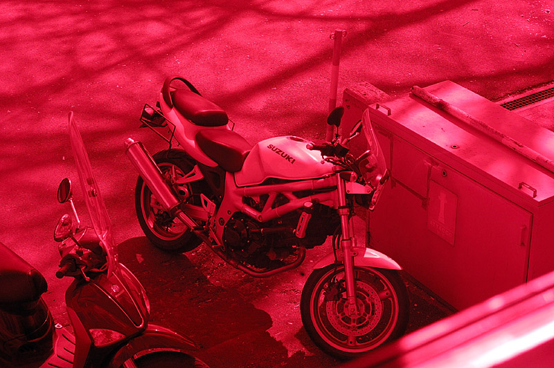 DSC_0001_red800.jpg