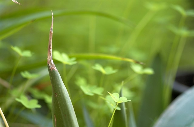 DSC_0003 rid.jpg