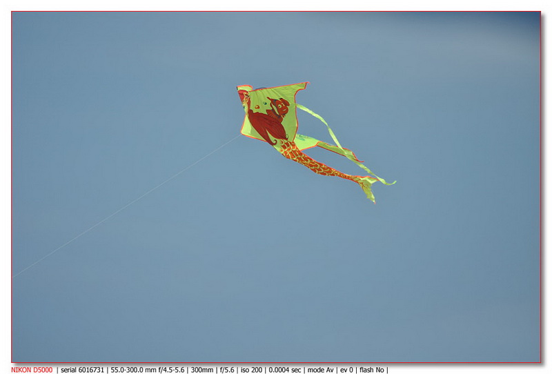 DSC_013.jpg