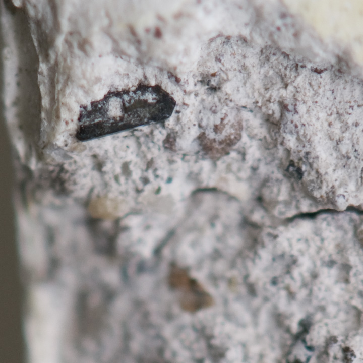 DSC_0192-c.jpg