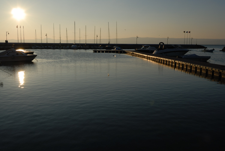 DSC_1315.jpg