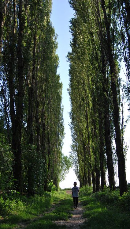 DSC_2230.jpg