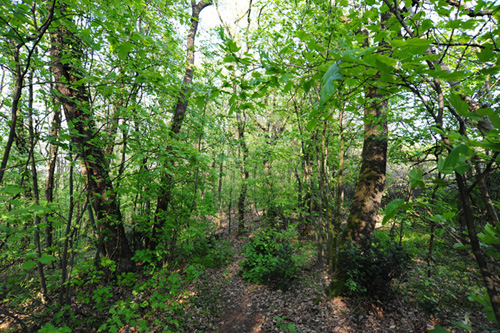 DSC_3074.jpg