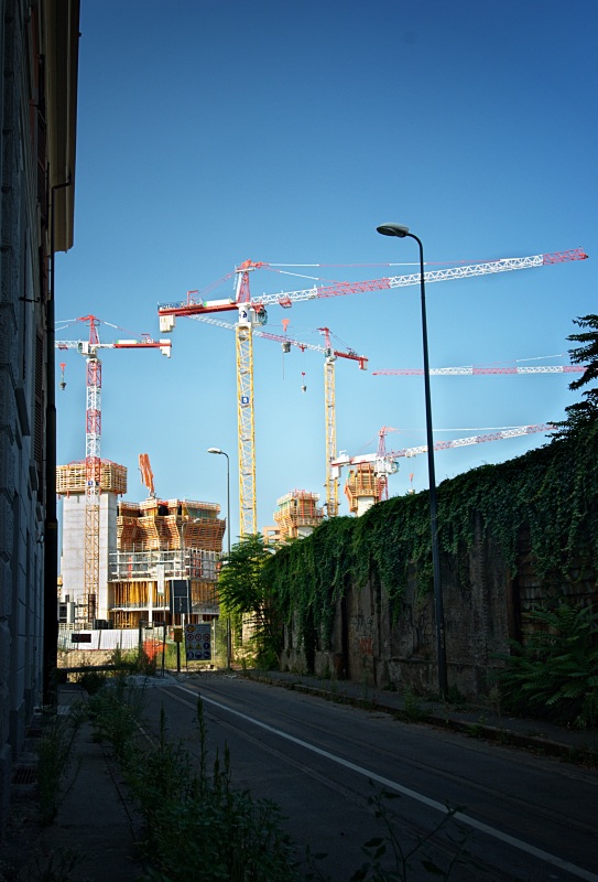 DSC_3796_2.jpg