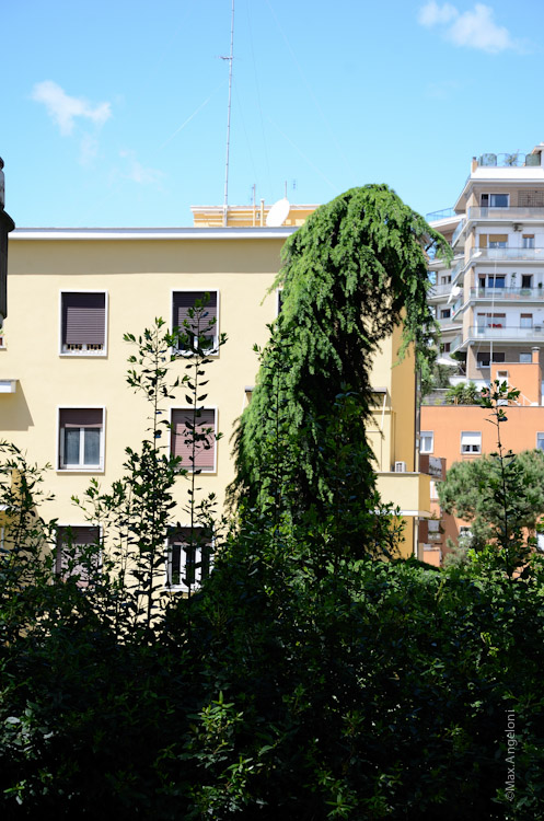 DSC_5336.jpg